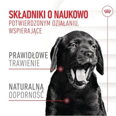 Royal Canin Immunity Przysmak Dla Szczeniąt 100g