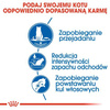 Royal Canin Indoor Apetite Control Karma Sucha Dla Kota 400g