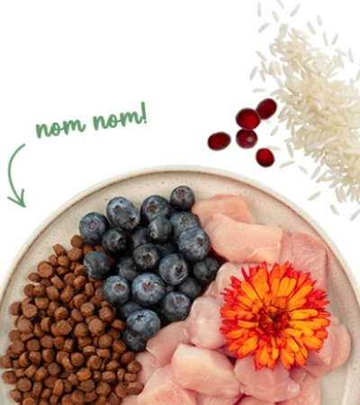 Sanabelle Adult Sensitive Karma dla Kota Kurczak 2kg