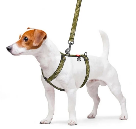 WAUDOG Nylonowe Szelki Dla Psa Moro Adresówka QR S