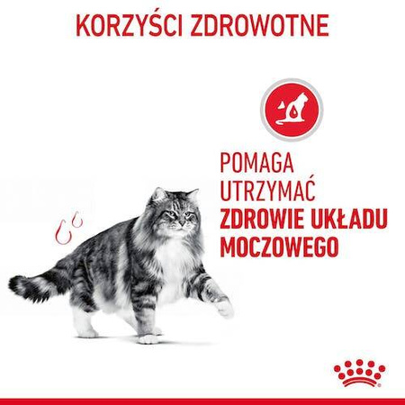 Royal Canin Urinary Care Karma dla Kota Dolne Drogi Moczowe 400g