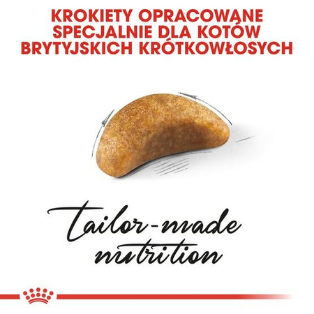 Royal Canin Karma Dla Kociąt Rasy Brytyjski Krótkowłosy 400g