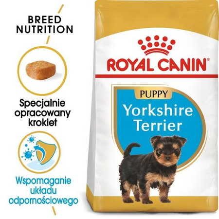 Royal Canin Sucha Karma Dla Szczeniąt Rasy York 500g