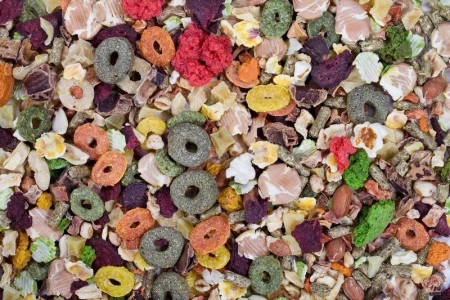 Kameleon Karma Dla Gryzoni Królików Rarytas Warzywa 5kg