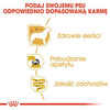 Royal Canin Mokra Karma Dla Psa Rasy York 85g