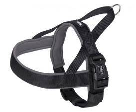 Nobby Classic Preno Szelki M-L Czarne 50-64cm; 255