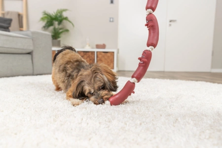 Trixie Zabawka dla Psa Kiełbaski Na Sznurze Winyl 75cm