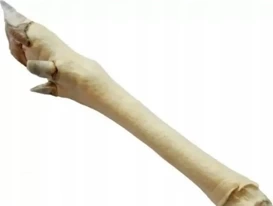 Arami Racica Sarny Biała 1szt.