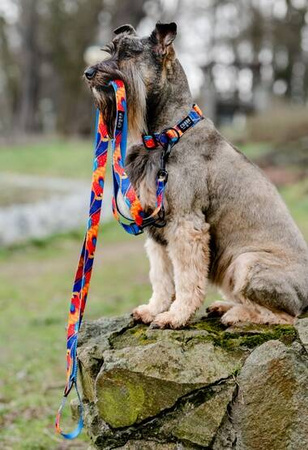 Chaba Obroża Dla Psa Regulowana Story III Aussie L