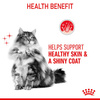 Royal Canin Hair Skin Care Karma Sucha dla Kota 400g