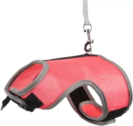 Szelki dla Dużych królików Ze Smyczą Miękkie 25–40 cm Smycz 1,20 M Trixie