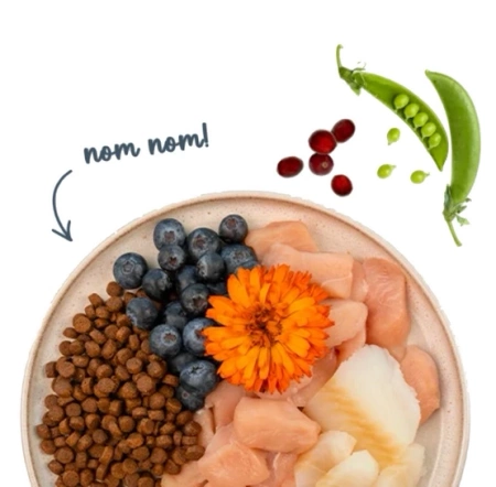 Sanabelle Adult Forelle Karma dla Kota Pstrąg 400g