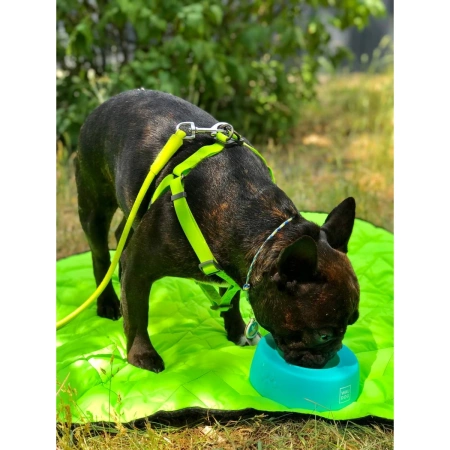 WAUDOG Silicone Miska Dla Psa Miętowa 750ml