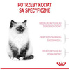 Royal Canin Kitten Karma Sucha Dla Kociąt 4-12 2kg
