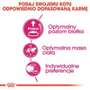 Royal Canin Exigent Protein Preference Karma Dla Kota 400g