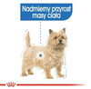 Royal Canin Karma Mokra Dla Psa z Nadwagą 85g