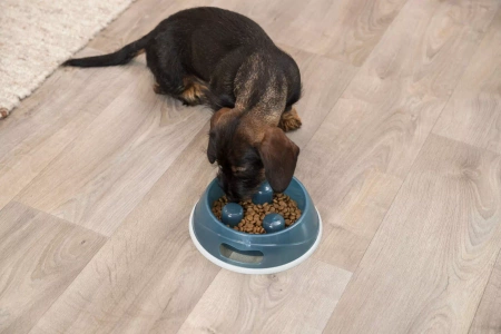 Trixie Miska Spowalniająca Jedzenie dla Psa 1,5l 27cm