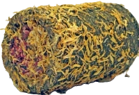 babka lancetowata || nagietek