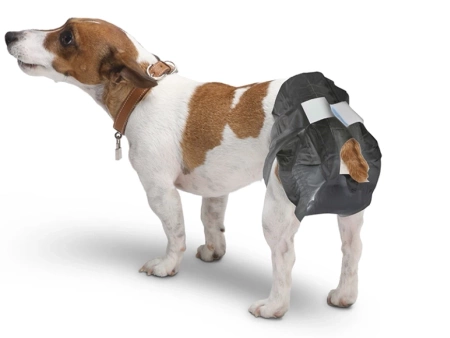 Pieluchy dla Psa Seniora Comfort Nappy T2 34-44cm 12 szt.