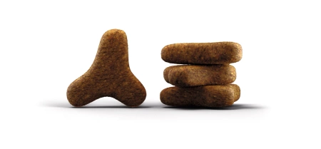 Josera Naturelle Grainfree Karma Dla Kota Pstrąg 2kg