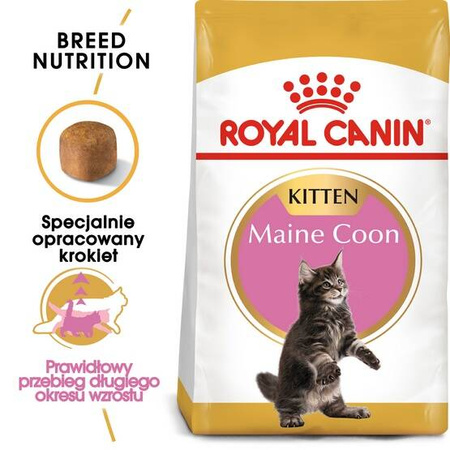 Royal Canin Karma Sucha Dla Kociąt Rasy Maine Coon 2kg