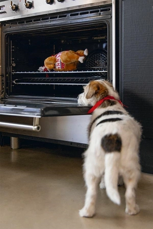 Beeztees Zabawka dla Psa Indyk ze Sznurem 30cm