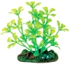 Aqua Nova Sztuczna Roślina Do Akwarium Plastikowa 4cm