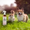 Pets Spray Przeciw Pchłom i Kleszczom dla Psa Kota 3x250ml