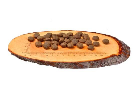 Carnilove Sucha Karma Dla Psa Jagnięcina Dzik 12kg