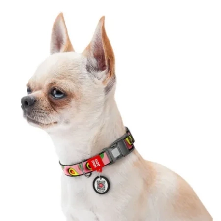 WAUDOG Obroża Dla Psa Różowa Awokado Z Adresówką QR M