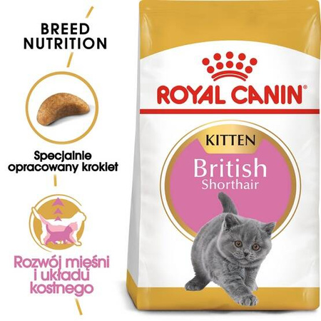 Royal Canin Karma Dla Kociąt Rasy Brytyjski Krótkowłosy 400g