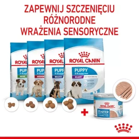Royal Canin Starter Mother Babydog Mus dla Suk Szczeniąt 195g