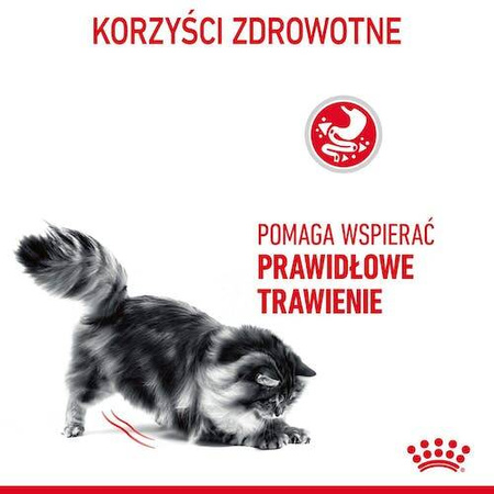 Royal Canin Digestive Care Karma Sucha Dla Kota 400g