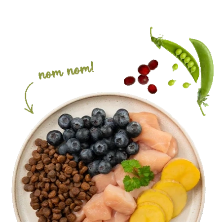 Sanabelle Adult No Grain Huhn Karma dla Kota Kurczak 400g