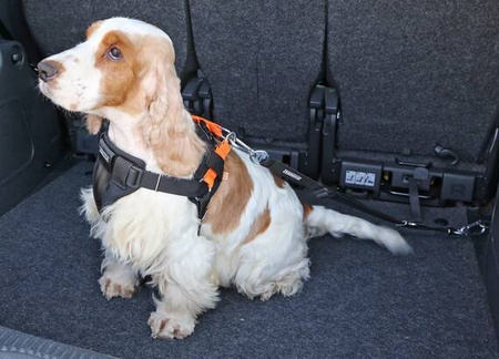 Kardiff Pas Dla Psa Bezpieczeństwa Do Samochodu S