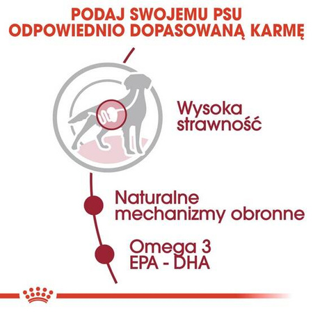 Royal Canin Karma Mokra Dla Psa Rasa Średnia 140g