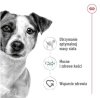 Royal Canin Mini Adult Karma dla Psa Rasa Mała 800g