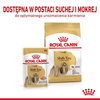 Royal Canin Mokra Karma Dla Psa Rasy Shih Tzu 85g
