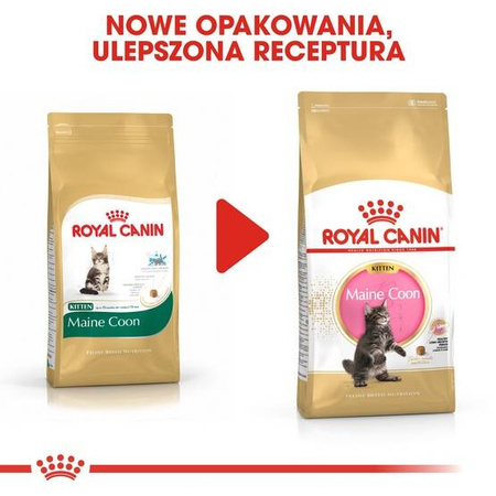 Royal Canin Karma Sucha Dla Kociąt Rasy Maine Coon 2kg
