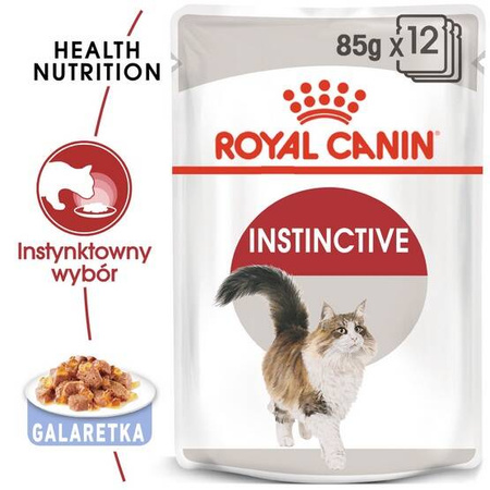 Royal Canin Instinctive Karma Dla Kota w Galaretce 85g
