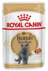 Royal Canin Karma Dla Kota Rasy Brytyjski Krótkowłosy 85g