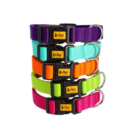 Dingo Energy Obroża Dla Psa Różowa 2,5/55cm