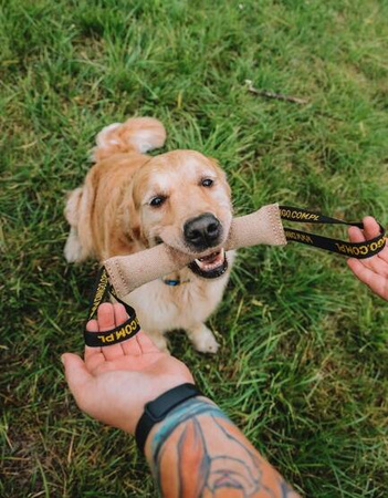 Dingo Zabawka dla Psa Szarpak z Juty Dwa Uchwyty 60/8cm