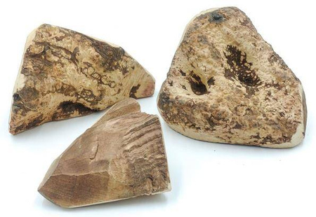 4Dogs Gryzak Z Korzenia Wrzośca XXL