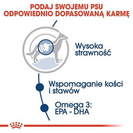 Royal Canin Maxi Adult Karma Mokra Dla Psa Dużego 140g