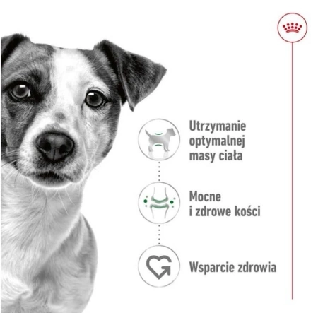 Royal Canin Mini Adult Sucha Karma Dla Psa Małego 2kg