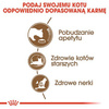 Royal Canin Ageing +12 Karma dla Kota Dojrzałego 400g