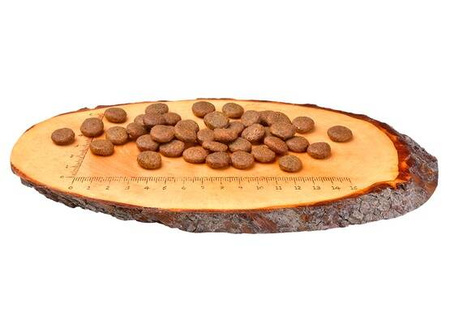 Carnilove Karma Dla Psa Dorosłego Karp Pstrąg 1,5kg