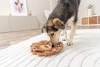 Trixie Snack Lion Mata Węchowa Dla Psa Lew 26 cm