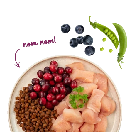 Sanabelle Senior Karma dla Kota Seniora Kurczak 400g